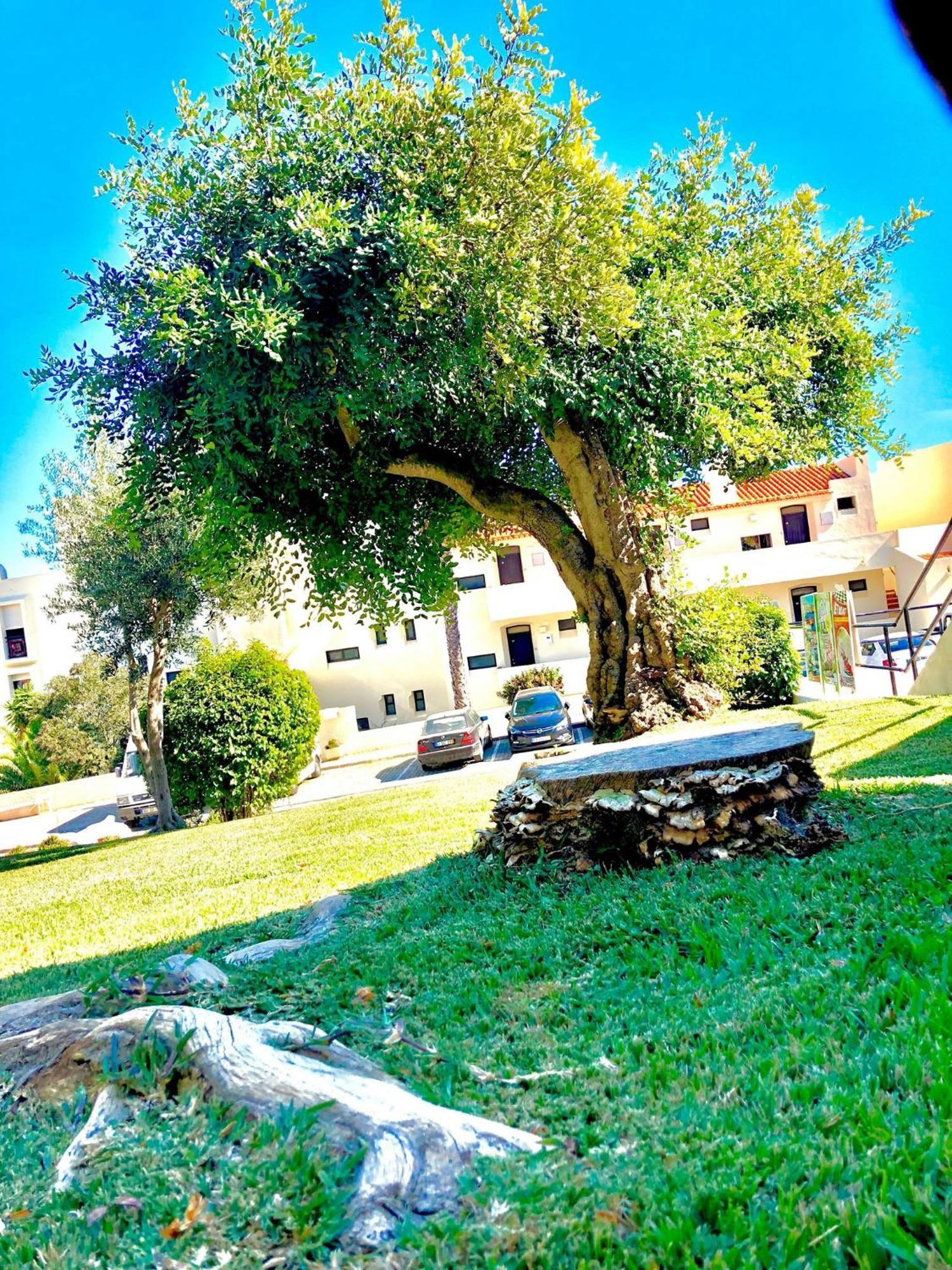 Albufeira Jardim - Apartamentos Turisticos Zewnętrze zdjęcie