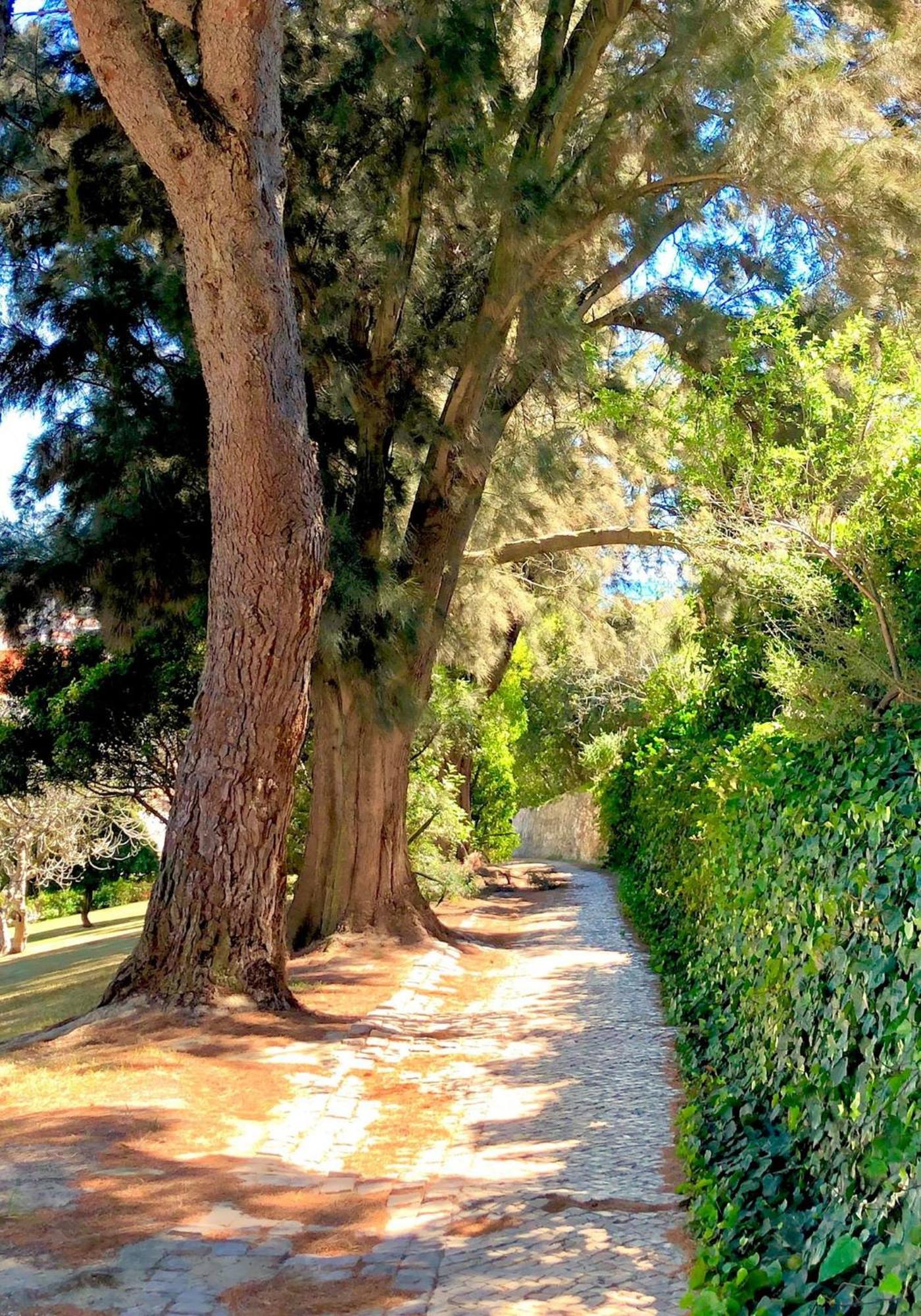 Albufeira Jardim - Apartamentos Turisticos Zewnętrze zdjęcie